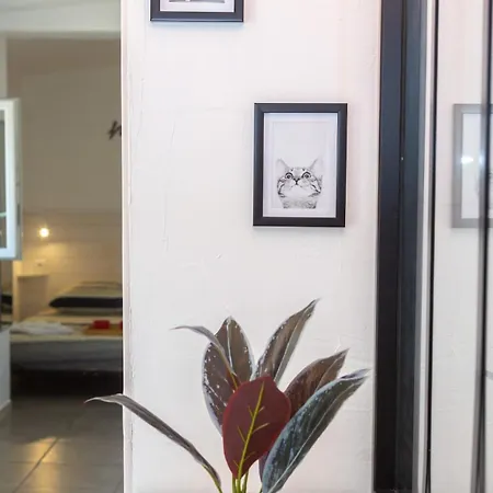 Chill & Sun - Terrace And Parking Apartment Amiens